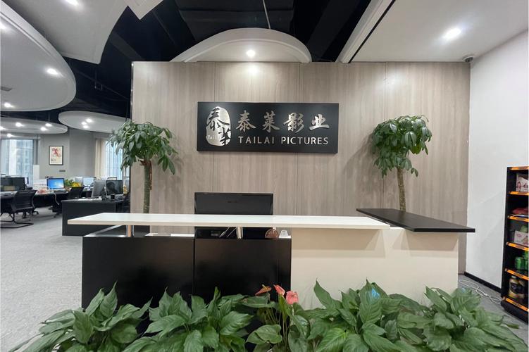 湖北泰莱影视文化传媒